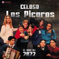 Los Picaros、El Adri Dj - Celoso (Remix)