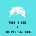 Who Is She x The Perfect Girl (Remix)