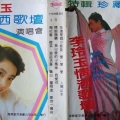 李玲玉 - 人间山水