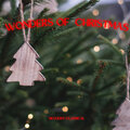 Wonders of Christmas