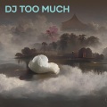 Dj Zaan - Dj Too Much