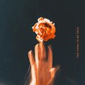 Too Good to Be True (Explicit)