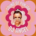Dj Angel - SOUND OF PUNJAB (PREVIEW)