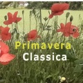 Sheku Kanneh-Mason、Rowena Calvert、Ashok Klouda、Nicholas Trygstad、Caroline Dearnley、Desmond Neysmith、Josephine Knight、Hannah Roberts、chris murray、Robert Max - Fauré: Elégie in C Minor, Op. 24