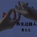 Seredris - 再见过路人3