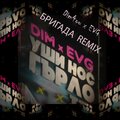 Бригада (EVG Remix)