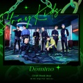 real_mooyi、景衍Flowsik - DOMINO