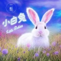 一栀 - 小白兔