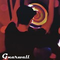 Gnarwall - Ted Mosby, Architect