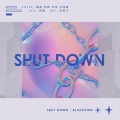 许知夏、念桉桉桉、Asteria4、洗洗 - Shut Down
