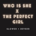 Xanemusic - Who Is She x The Perfect Girl (slowed + reverb)(Remix)