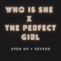 Xanemusic - Who Is She x The Perfect Girl (sped up + reverb)(Remix)