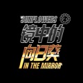 罗杰 - 向阳
