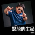 潘泽宏 - 怒放的生命