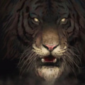 韩斌斌 - 猩猩战歌
