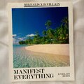 Mikealis、B-Villain - Manifest Everything (B-Villain Remix|Explicit)