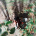 RockyTod Angels、Vertt UNiVRS、Trey Maden - RoLLinG STONE (feat. Vertt Univrs & Trey Maden)(Explicit)