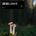 潮小汐 - 梦里花