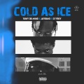 COLD AS ICE. (feat. City Boy)(Explicit)