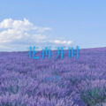 林宇墨 - 花再开时