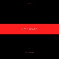 loosta、Skycityuno - New Scars (feat. SkyCityUno)