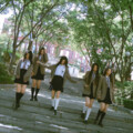 啵啵牌啵菜、豆豆、斯亦、柯奇 - Ditto