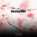 Amazing Miles District XXIII