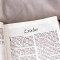 Goodshorts、Zach Julin - Exodus
