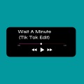 Wait A Minute (Tik Tok Edit)(Remix)