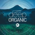 NatureVibes - Love Vibration (Original Mix)