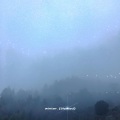 VESK GREEN 青菜 - winter.