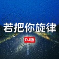 若把你旋律 (DJ版)