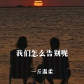 一斤温柔 - 我们怎么告别呢