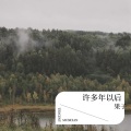 果果G - 许多年以后2版本