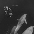 刘烁七、夏晨皓 - 消失的爱