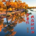 瓦头 - 我在纳林湖等着你