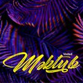 Vedad、LGN - Mistake