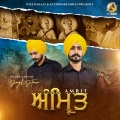 Singh Satnam - Amrit