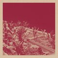 David Velez - Beta Vulgaris - V
