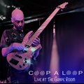 Coop a Loop - Purple Sunflower