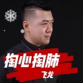 飞龙 - 掏了心掏了肺