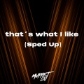 Muppet DJ、SECA Records - that's what I like (Sped Up)(Remix)
