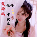 赵星瑜 - 谁料皇榜中状元