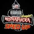 stupid ********** SPED UP (feat. project pat & indo G)(Explicit)