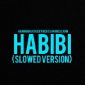 Habibi (feat. Aram Mafia & Ricky Rich)(Slow Version)(Explicit)