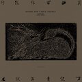 万能青年旅店 - 山雀