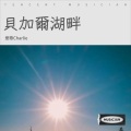 爱歌Charlie - 想你想到心里头