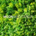 Canzoni Moon Tunes、Musica Rilassante - Trance per un sonno profondo