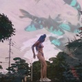 11 - 三十三