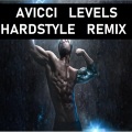 Realyzed - AVICII LEVELS (HARDSTYLE REMIXX)